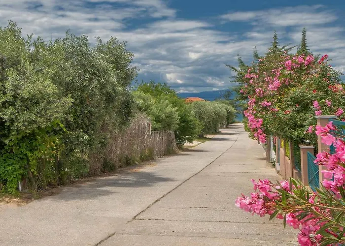 Noras Collection スカラ・ソティロス