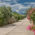 Noras Collection スカラ・ソティロス